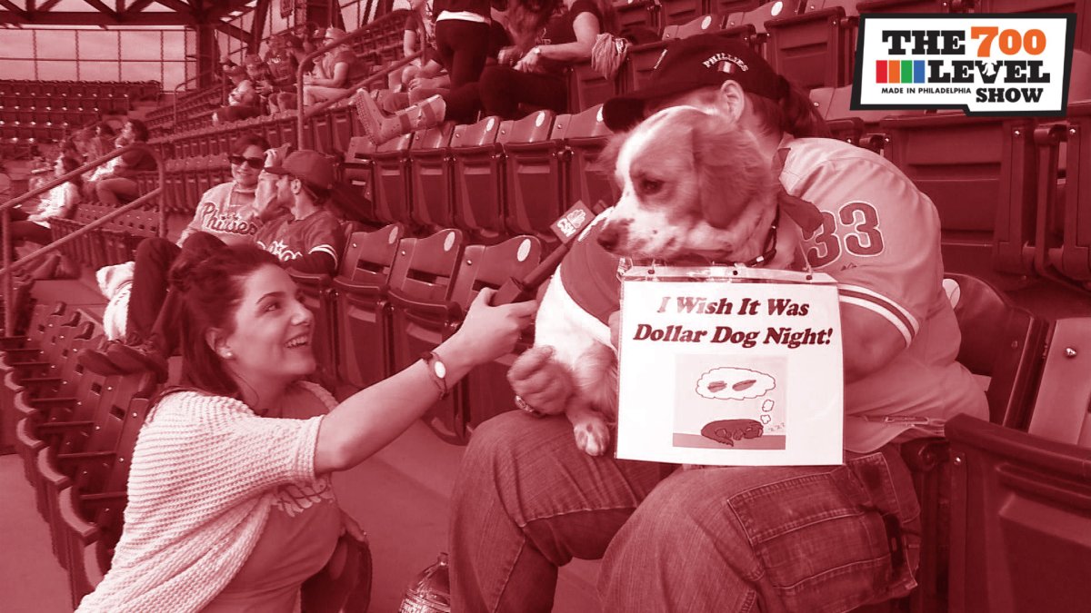 The700Level Show Bark in the Park — a dog’s eye view NBC Sports