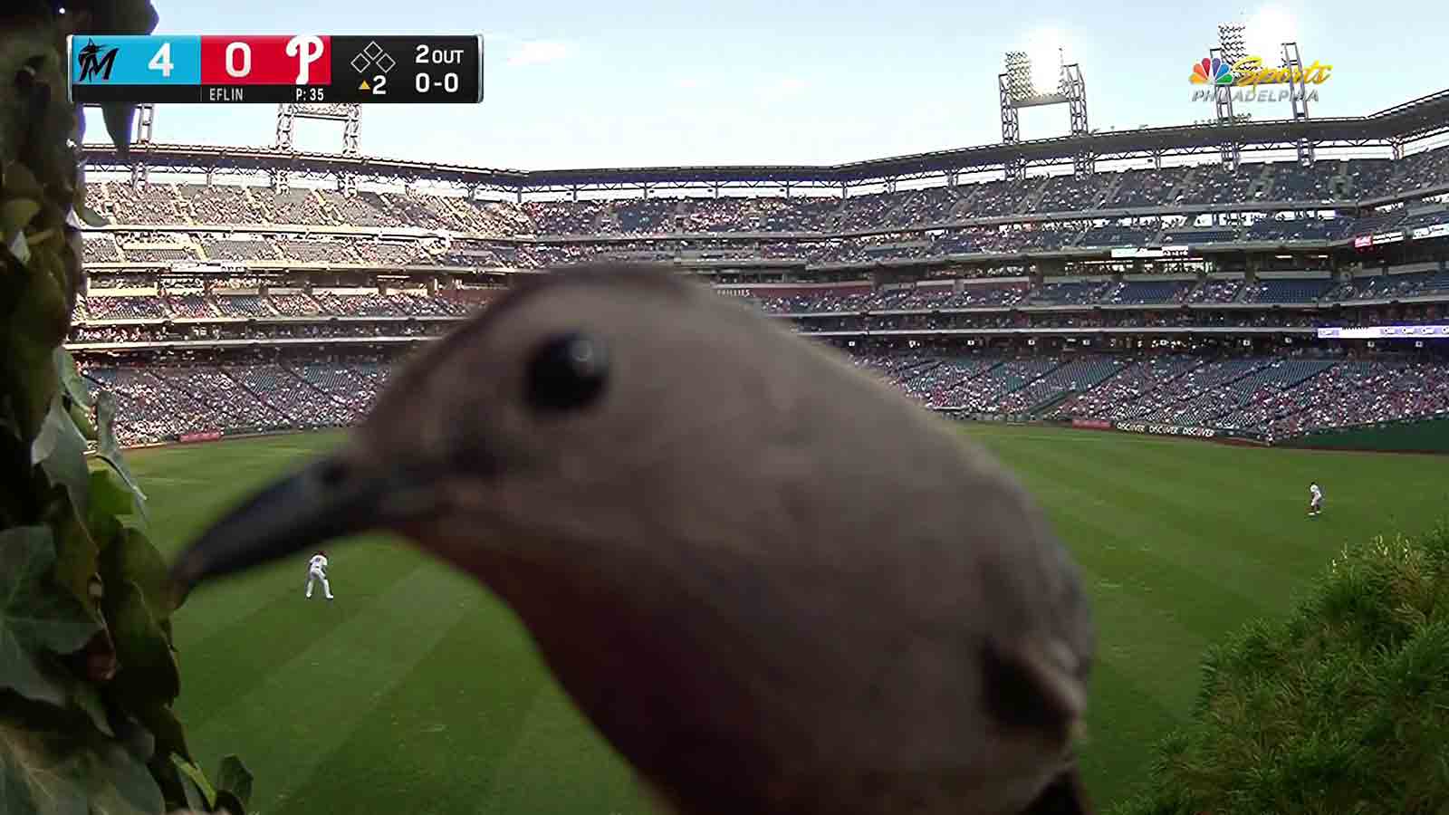 Closeup of Philadelphia Phillies John Kruk during game vs Chicago