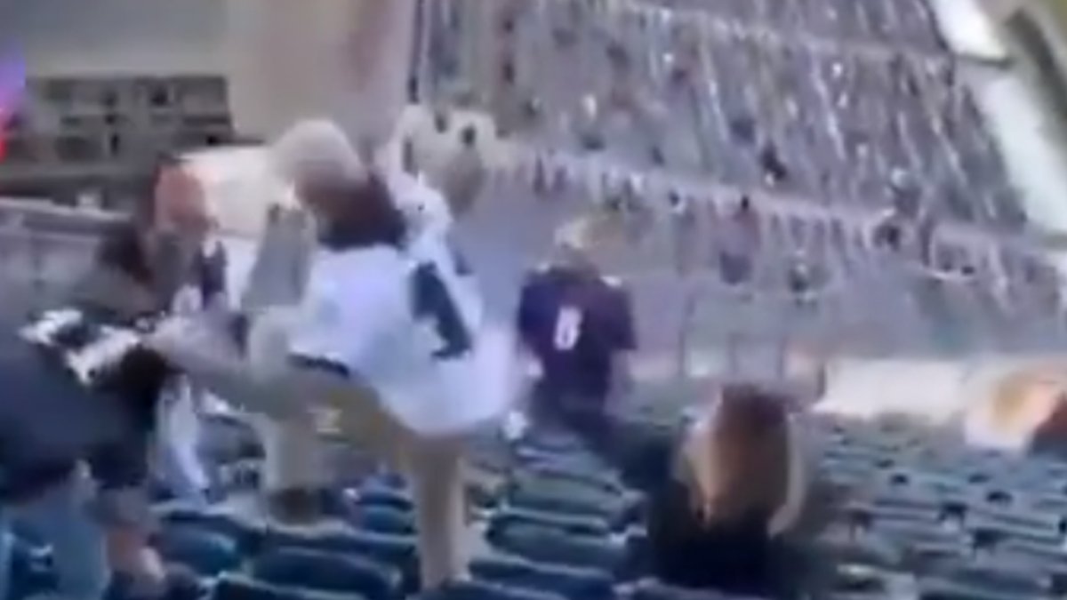 Crazy Fan Brawl Breaks out After Eagles vs. Titans Game