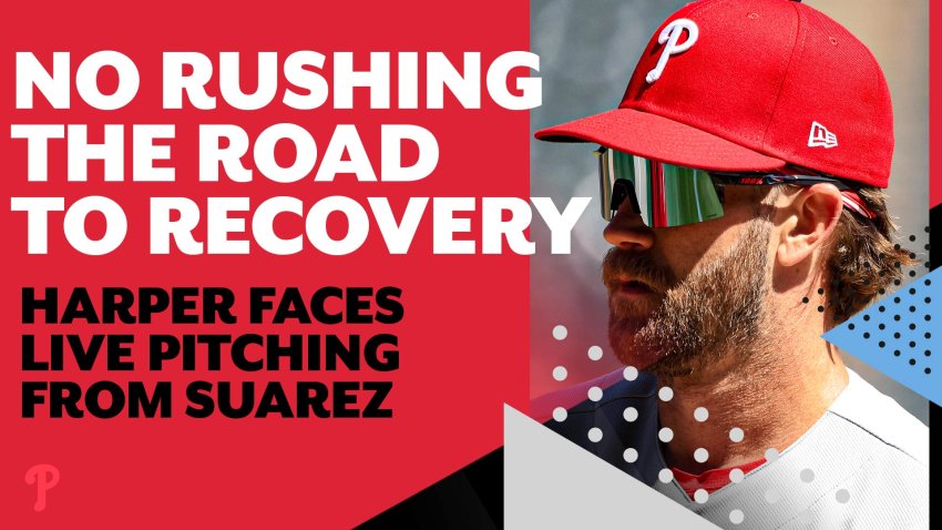 Harper happy to see live pitching, but wants to be smart