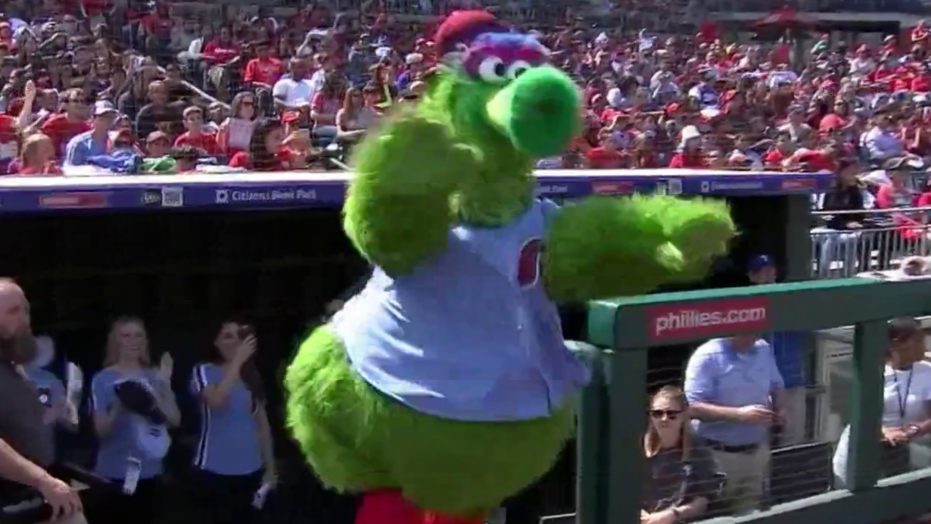 The History of the Phillies Phanatic