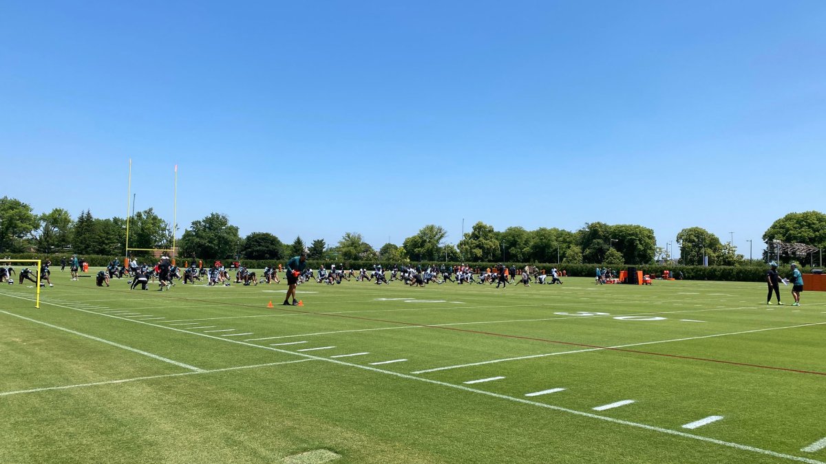 Philadelphia Eagles: 2023 OTA REPORT & UPDATES  Quez Watkins & Sydney  Brown Expectations 