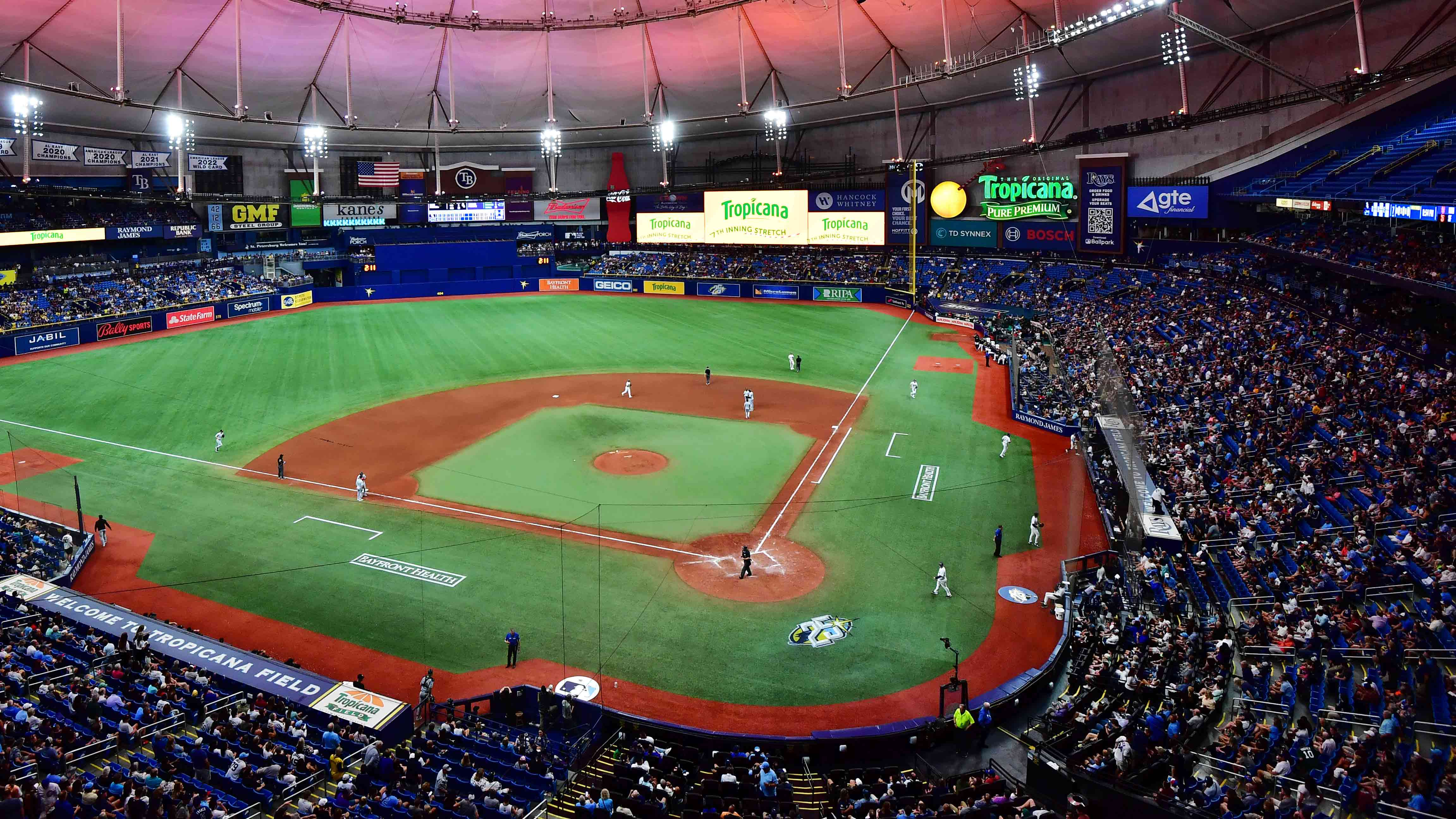 A Day at the Tampa Bay Rays  Visit St Petersburg Clearwater Florida