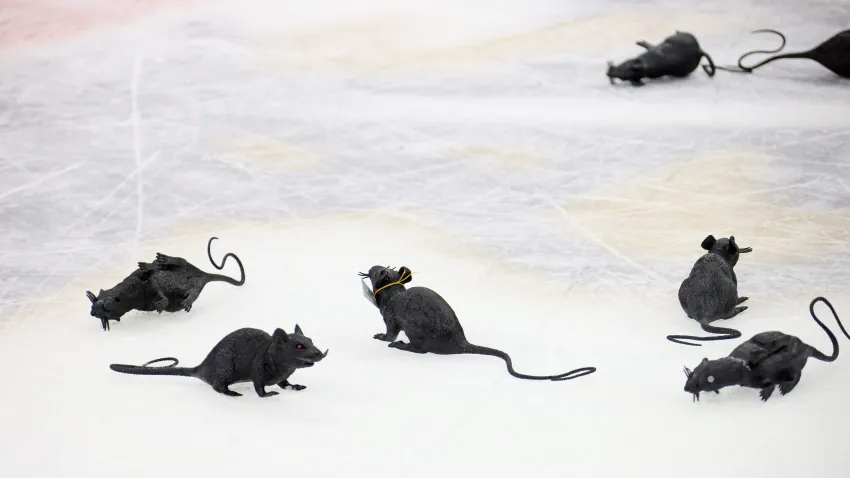 Plastic rats on the ice