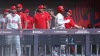 ‘How long you been planning that?' — Phillies react to Harper's ‘iconic' moment