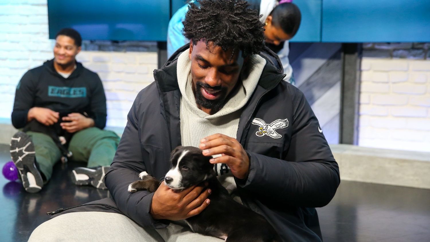 Philadelphia Eagles to cover adoption fees for local shelter pets – NBC ...