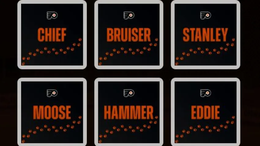 Flyers service dog name options